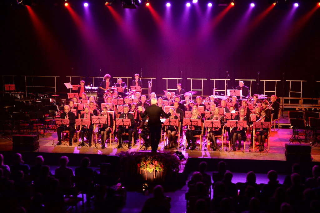 ../Images/Jubileumconcert 100 jaar Harpe Davids 084.jpg